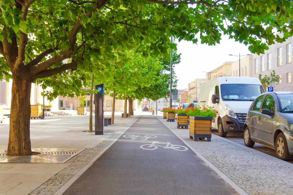Urban separated bike lane with street trees on one side and cars parked on the other